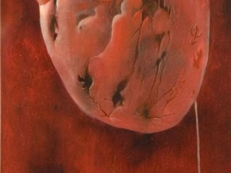 FANTASBEROCCHIA MERITEVOLE
