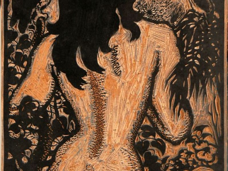 NUDO